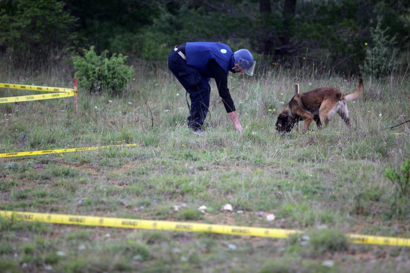 11. medjunarodni simpozij MINE ACTION 2014 odrzan je na podrucju nekadasnje vojne baze Sepurine, gdje su predstavljeni nacini u razminiravanju. Photo: Filip Brala/PIXSELL 11. medjunarodni simpozij MINE ACTION 2014 odrzan je na podrucju nekadasnje vojne baze Sepurine, gdje su predstavljeni nacini u razminiravanju. Photo: Filip Brala/PIXSELL