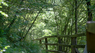 Izlet na Vrelo Une, foto: Darko Belančić