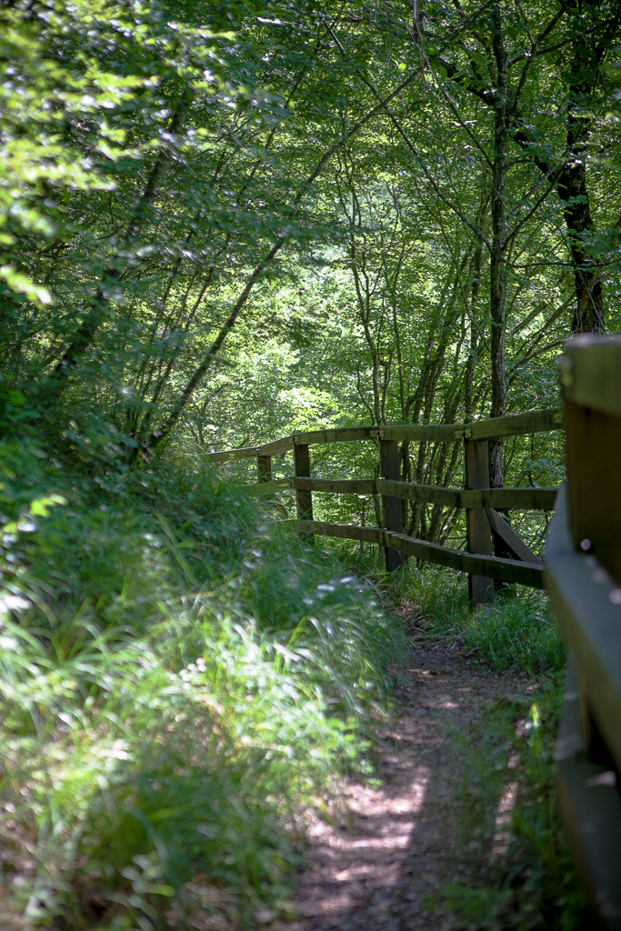 Izlet na Vrelo Une, foto: Darko Belančić