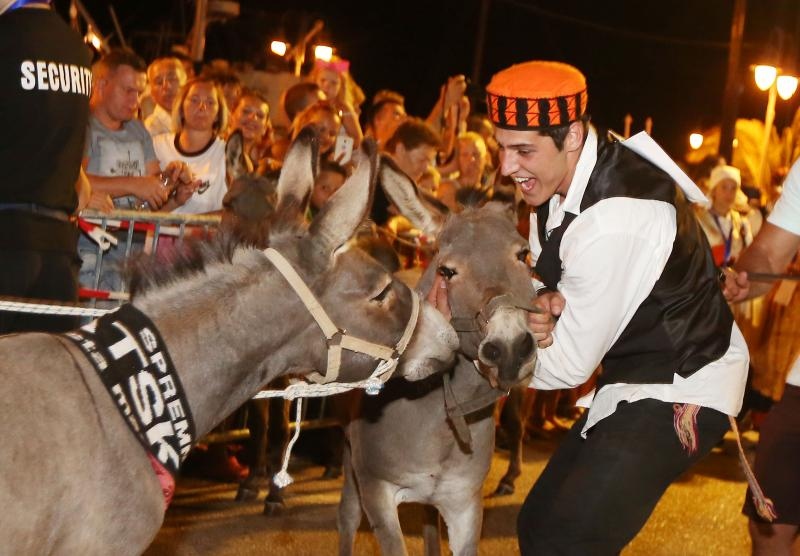 U Tribunju su održane 49. po redu magareće trke na kojima je sudjelovalo 12 jahača, a pobjedu je odnio Roko Popov na magarcu Renault 4. Photo: Duško Jaramaz/PIXSELL U Tribunju su održane 49. po redu magareće trke na kojima je sudjelovalo 12 jahača, a pobjedu je odnio Roko Popov na magarcu Renault 4. Photo: Duško Jaramaz/PIXSELL