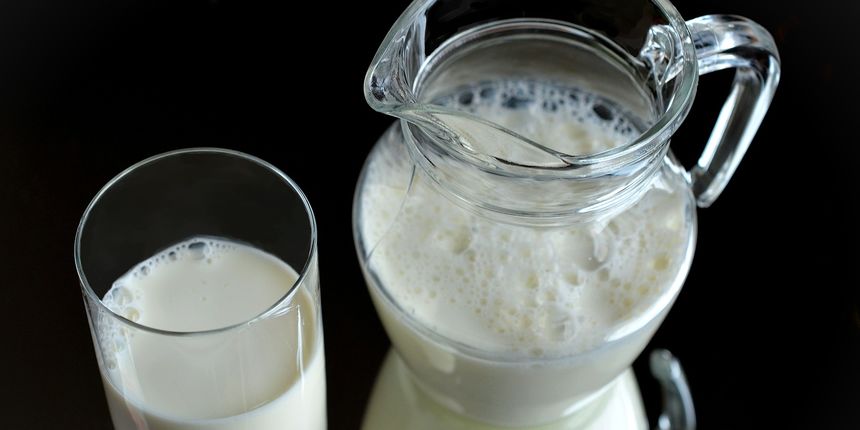 Mlijeko – kao i gluten i pšenica, mlijeko može bii preteško za crijeva