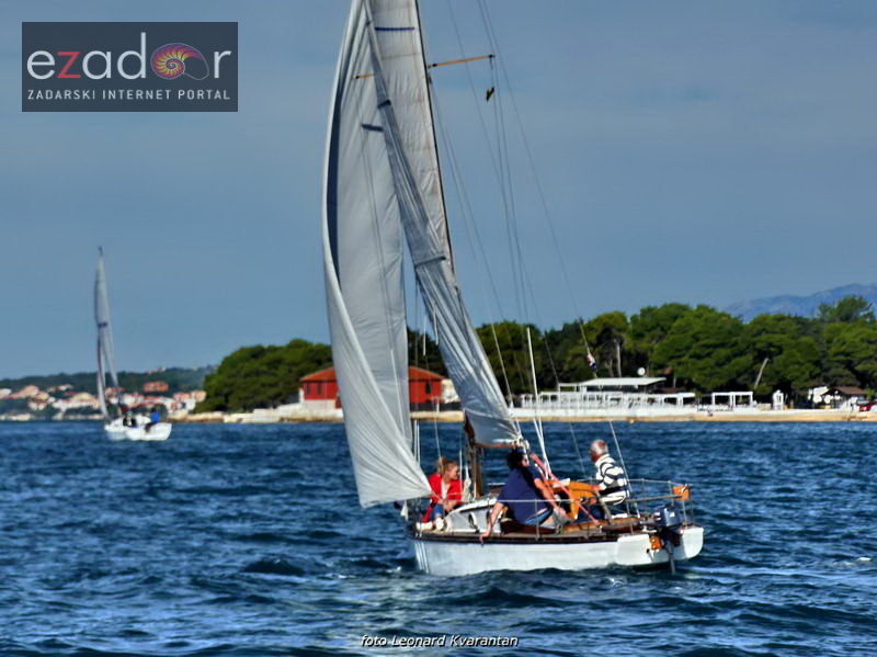 Zadarska koka 2017. Zadarska koka 2017.