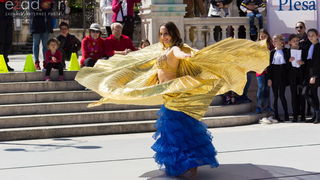 Đir po gradu 29. travnja 2017.