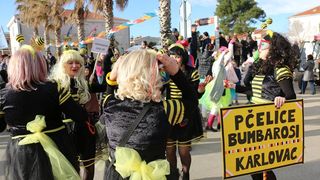 2. Međunarodna karnevalska povorka Virskih maškara