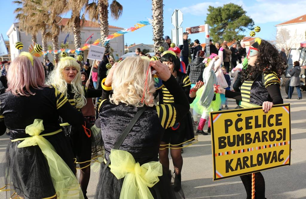 2. Međunarodna karnevalska povorka Virskih maškara