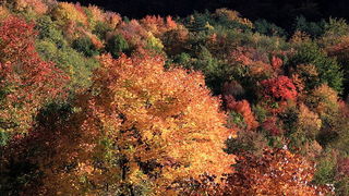 Paklenica: Boje jeseni, Foto: Mladen Radolovic Mrlja