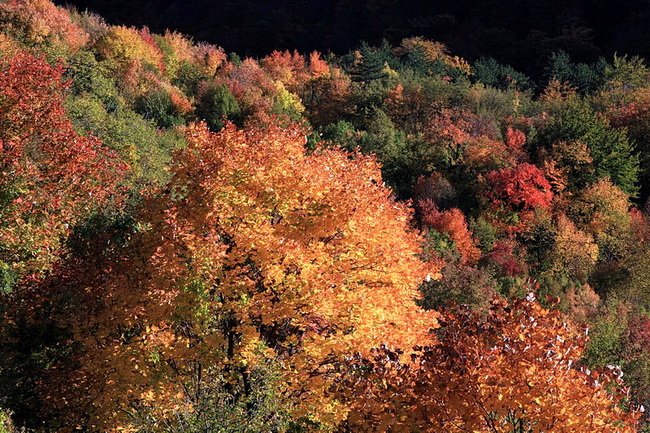 Paklenica: Boje jeseni, Foto: Mladen Radolovic Mrlja