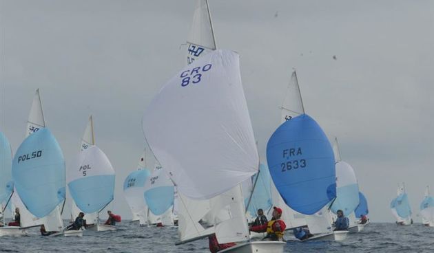 Image 1206205 (auto)