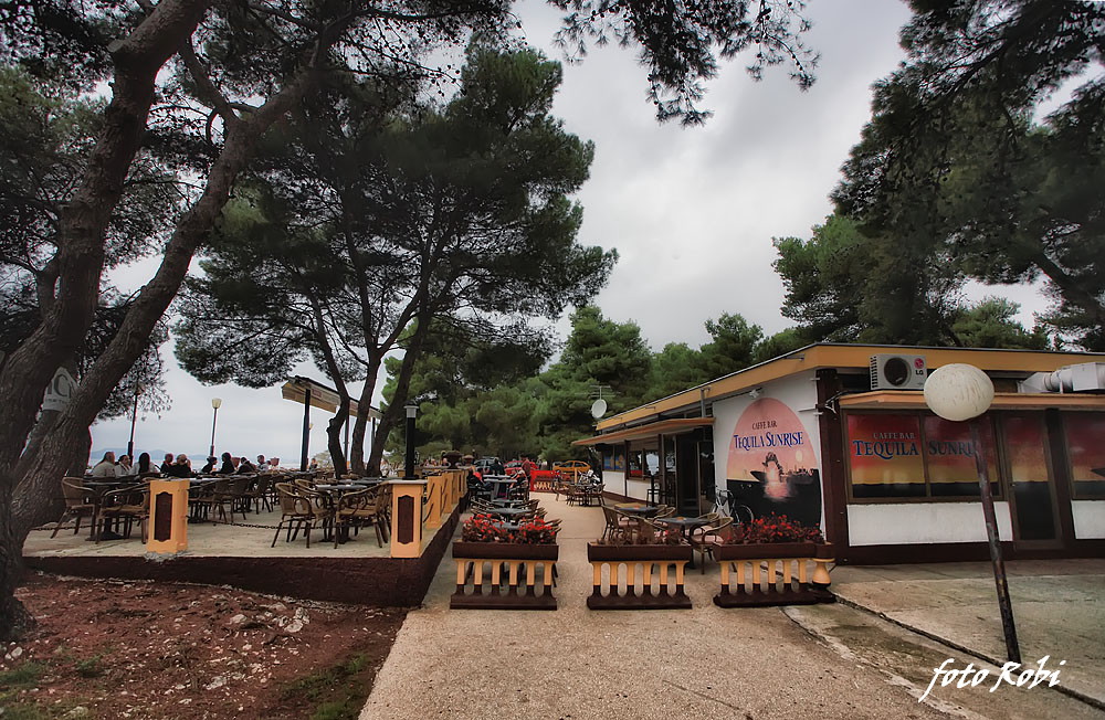 Skitnja gradom 11. listopada 2013.  Foto: Roberto Lerga