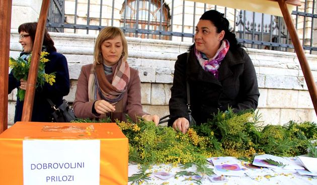 Subotnja špica i Dan mimoza ; foto Iva Perinčić