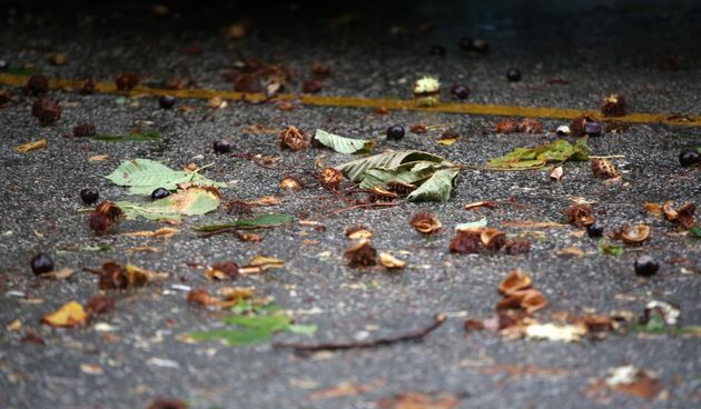 Orkanska bura paralizirala Split