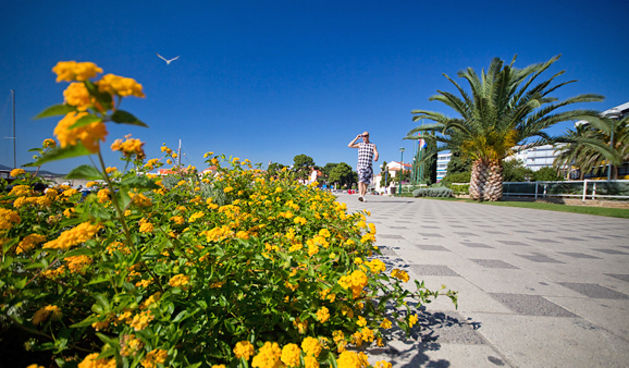 Nedjeljno kupanje u Biogradu na moru (foto:Saša Čuka)