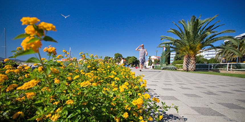 Nedjeljno kupanje u Biogradu na moru (foto:Saša Čuka) Nedjeljno kupanje u Biogradu na moru (foto:Saša Čuka)
