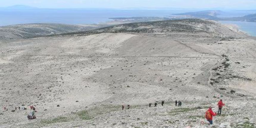 OLYMPUS DIGITAL CAMERA OLYMPUS DIGITAL CAMERA