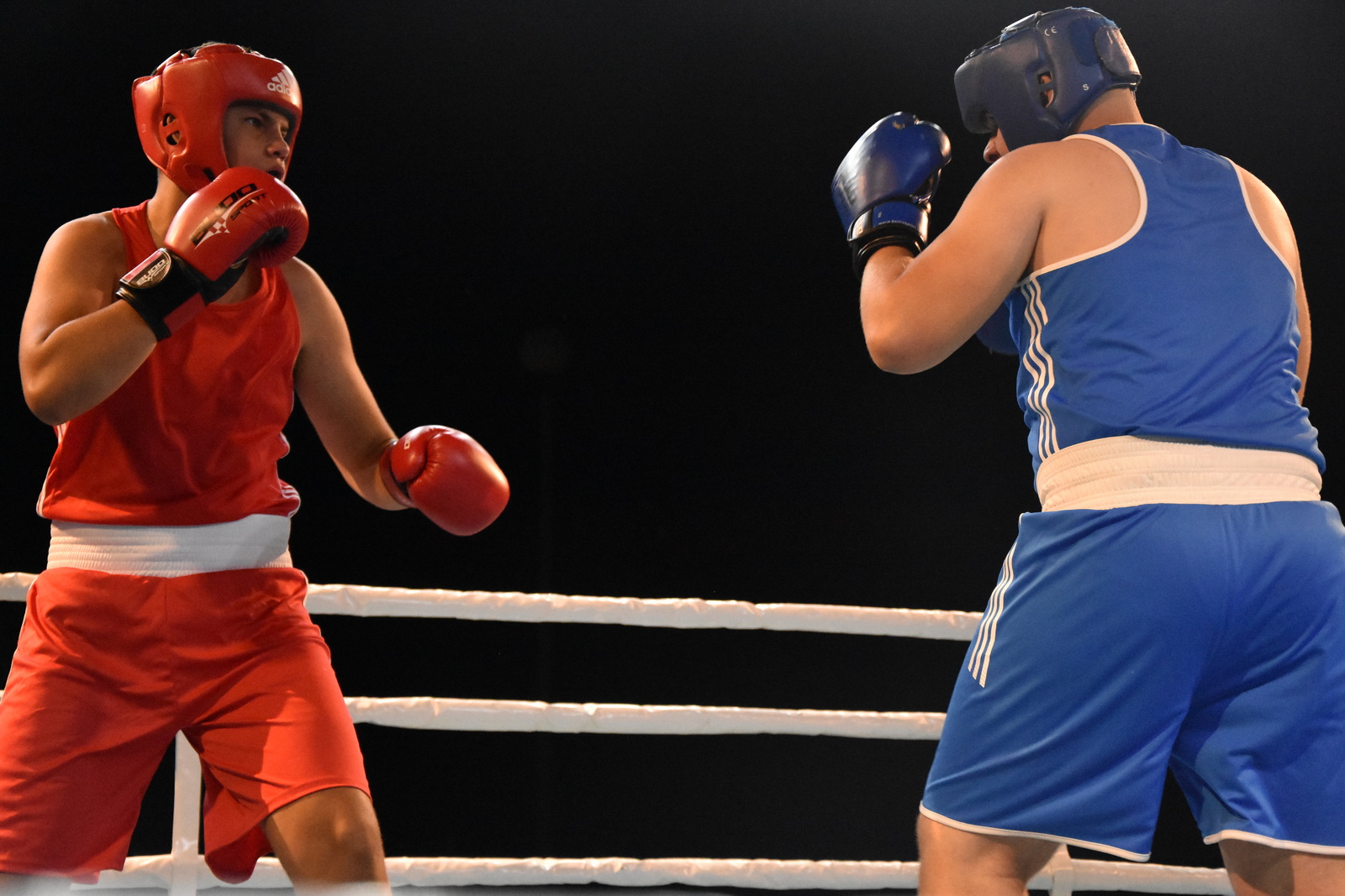 Noć boksa 2024. @ Pašman