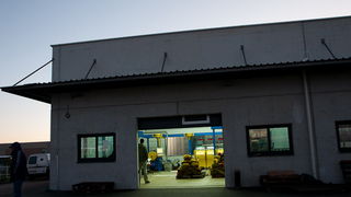 Put masline od stabla do djevicanskog ulja, Foto: Leo Banic Put masline od stabla do djevicanskog ulja, Foto: Leo Banic