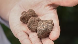 Tuna, sushi and wine festival: Ručak u Kraljevskim vinogradima Tuna, sushi and wine festival: Ručak u Kraljevskim vinogradima