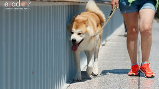 Đir po gradu, petak 28. lipnja 2019. Đir po gradu, petak 28. lipnja 2019.