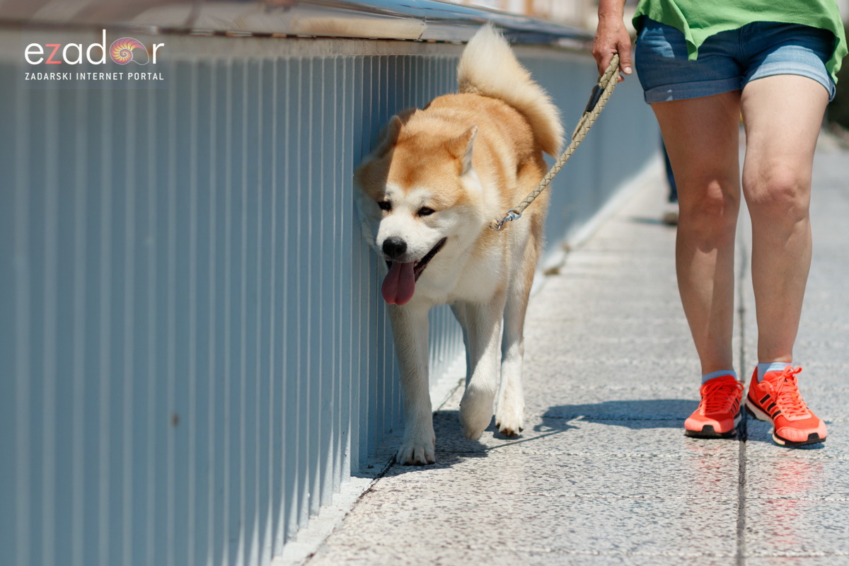 Đir po gradu, petak 28. lipnja 2019. Đir po gradu, petak 28. lipnja 2019.