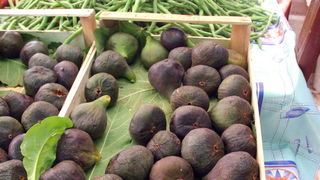 Image 1205453 (auto)