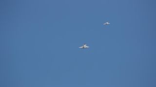 Preleti Rafalea i Krila oluje na obilježavanju 29. obljetnice VRO Oluja @ Knin Preleti Rafalea i Krila oluje na obilježavanju 29. obljetnice VRO Oluja @ Knin