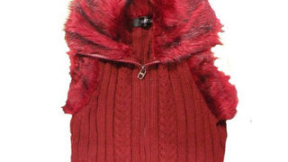 Image 1031447 (auto)