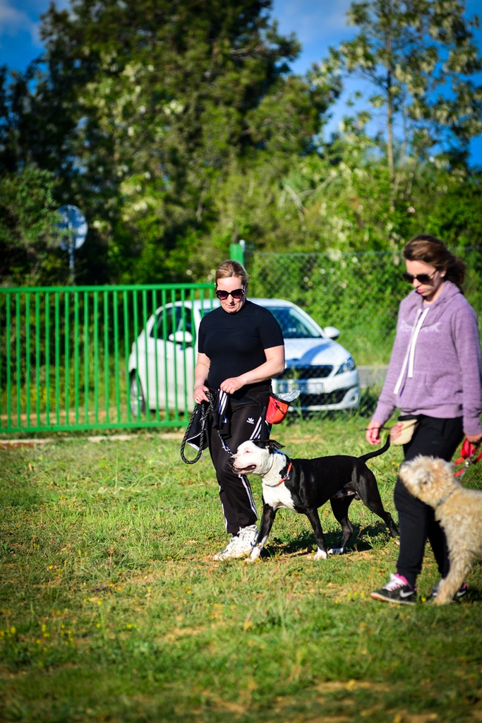 Kinološka udruga Malinois