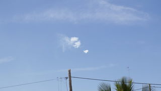 Valencia, 18.3.2008.