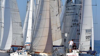 Sva lica “Zadarske koke” Sva lica “Zadarske koke”