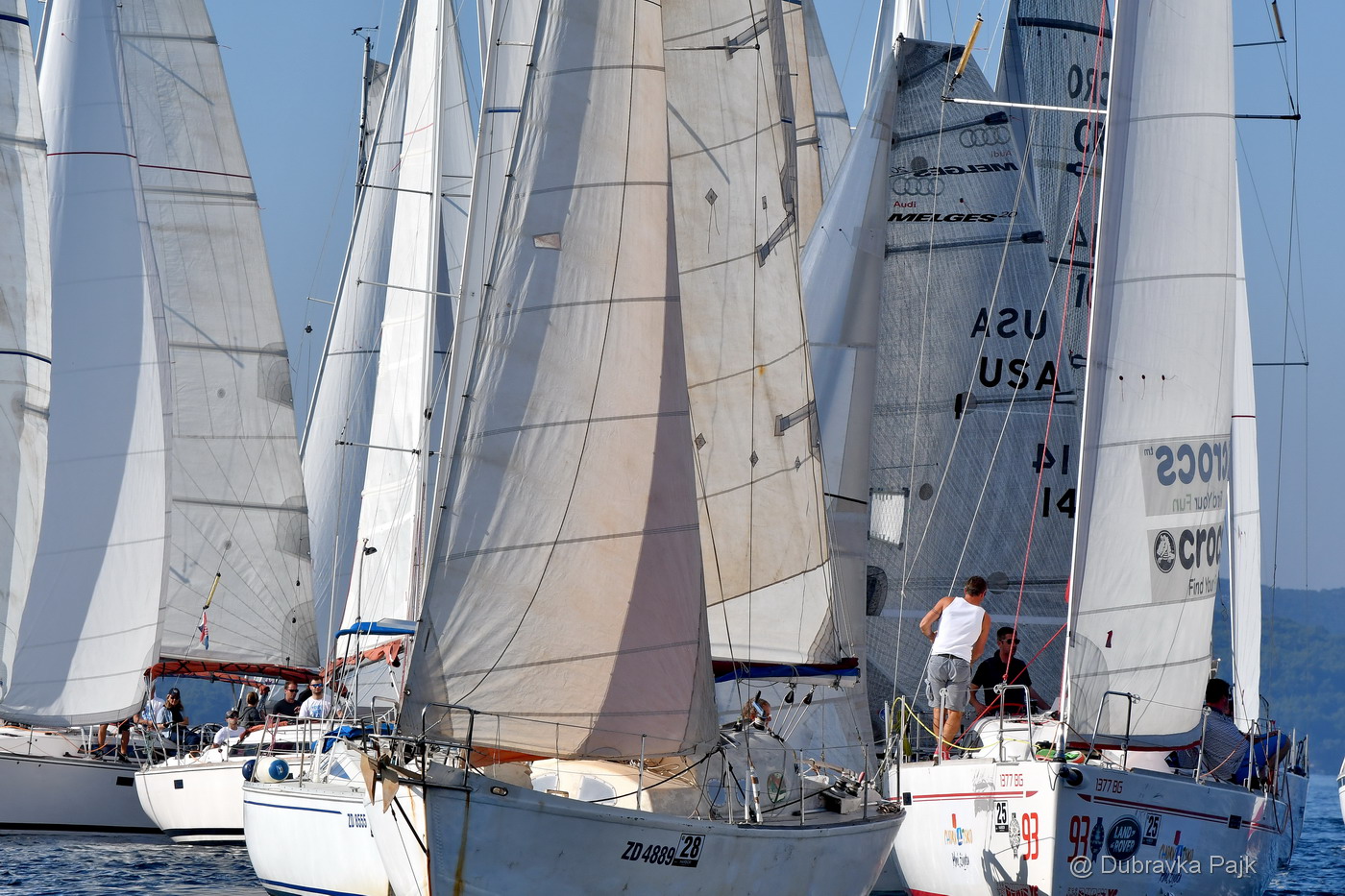 Sva lica “Zadarske koke” Sva lica “Zadarske koke”