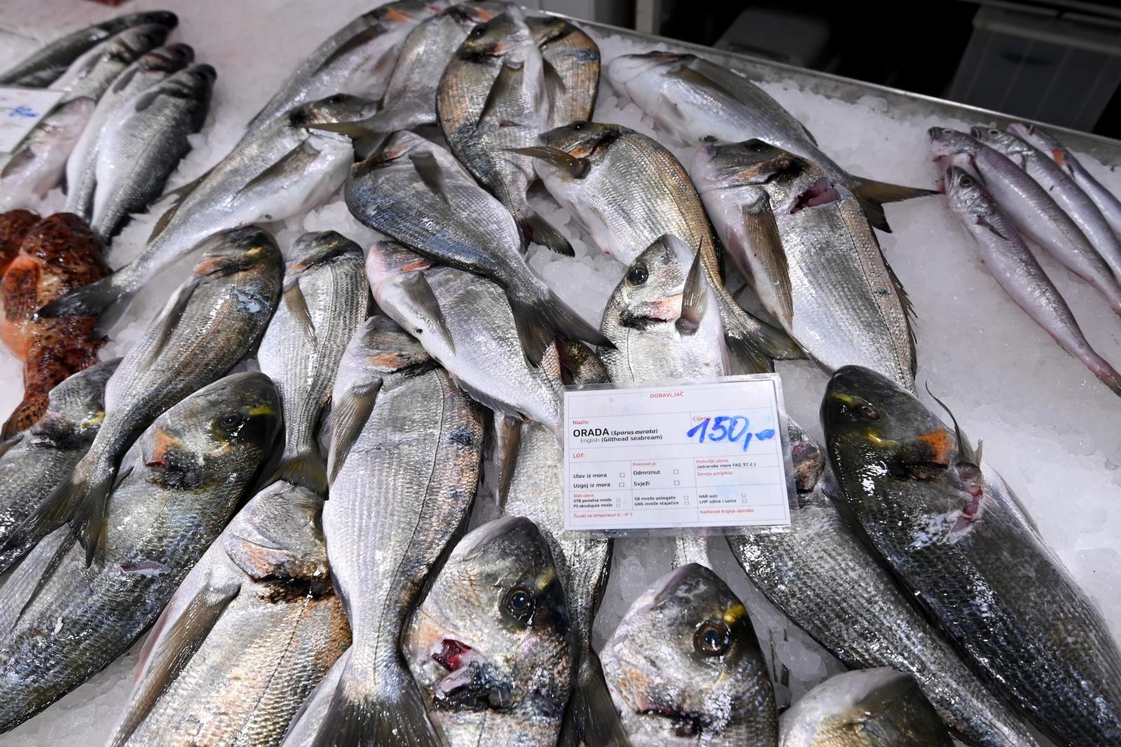 Bogata ponuda ribe na gradskoj ribarnici Bogata ponuda ribe na gradskoj ribarnici