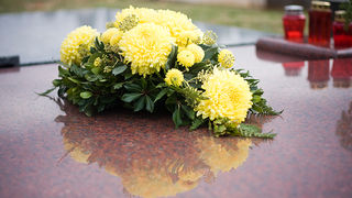 Gradsko groblje uoči blagdana Svih svetih (foto:Saša Čuka) Gradsko groblje uoči blagdana Svih svetih (foto:Saša Čuka)