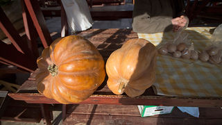 Đir po pijaci, 30. siječnja 2012. (foto:Saša Čuka)