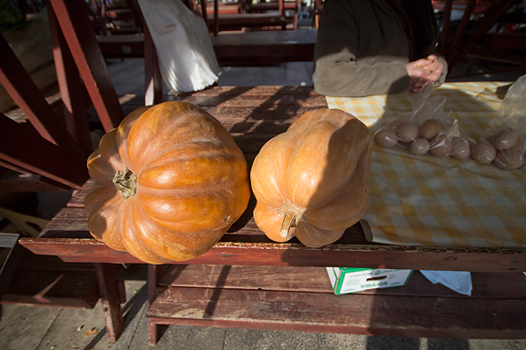 Đir po pijaci, 30. siječnja 2012. (foto:Saša Čuka)