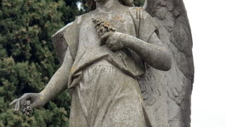 Usprkos jakom jugu gradsko groblje u Zadru danas je zasjalo toplim bojama cvijeca i svijeca kojima su gradjani ukrasili posljednja pocivalista svojih najdrazih, Foto: Mladen Malik Usprkos jakom jugu gradsko groblje u Zadru danas je zasjalo toplim bojama cvijeca i svijeca kojima su gradjani ukrasili posljednja pocivalista svojih najdrazih, Foto: Mladen Malik