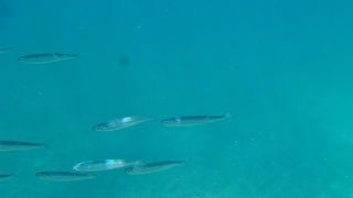 OLYMPUS DIGITAL CAMERA OLYMPUS DIGITAL CAMERA