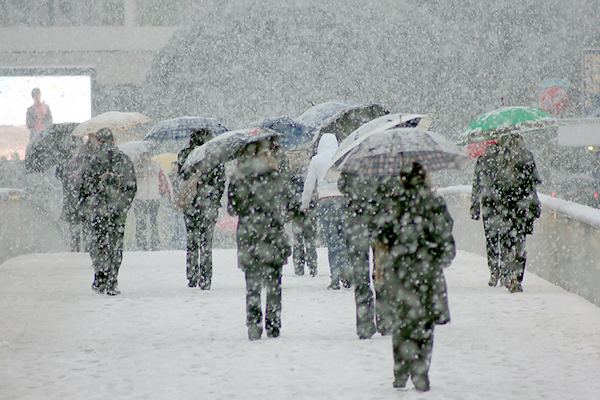 Snijeg u Zadru, 17. prosinca 2009, Foto: Saša Čuka