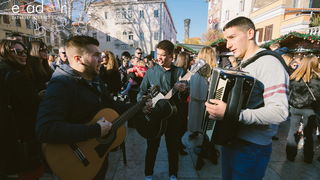 Badnjak u Zadru, 24. prosinca 2017.