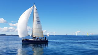 Zadarska Koka 2016. 22. listopada 2016. Foto: Mladen Malik Zadarska Koka 2016. 22. listopada 2016. Foto: Mladen Malik