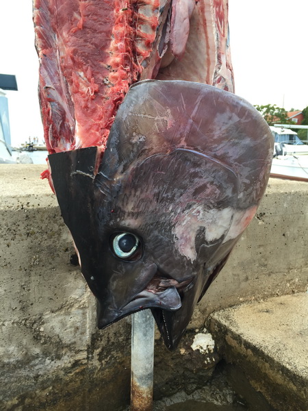 Čeprljandska fešta 2016. Foto: Valentin Bakota Čeprljandska fešta 2016. Foto: Valentin Bakota