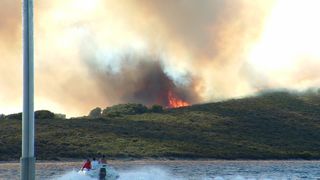 Image 1177187 (auto)