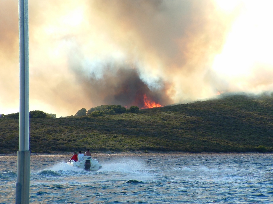 Image 1177187 (auto)