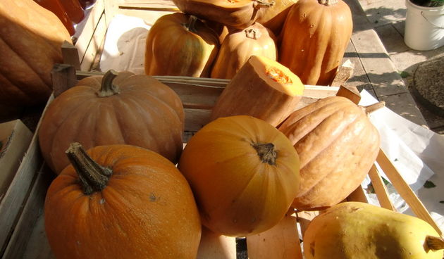 Bundeva, tikva, Halloween