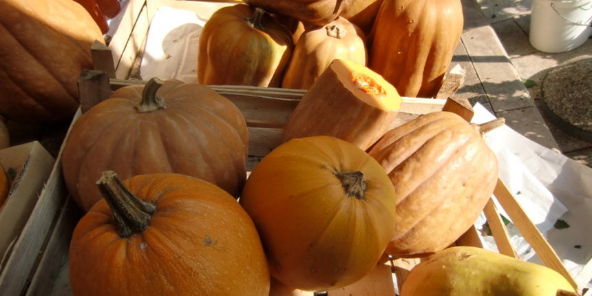 Bundeva, tikva, Halloween