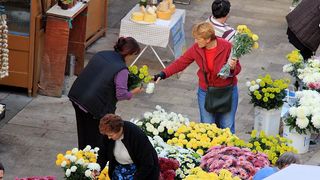 Započela prodaja cvijeća na zadarskoj tržnici, foto-I. Perinčić Započela prodaja cvijeća na zadarskoj tržnici, foto-I. Perinčić