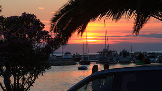 Bibinje feštica, foto: Leo Banić Bibinje feštica, foto: Leo Banić