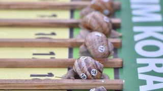 “Puževim korakom” Benkovac: 6. Prvenstvo Hrvatske u utrci puževa “Puževim korakom” Benkovac: 6. Prvenstvo Hrvatske u utrci puževa