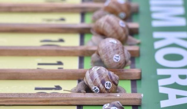 “Puževim korakom” Benkovac: 6. Prvenstvo Hrvatske u utrci puževa