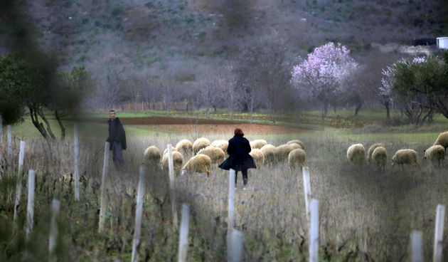 Mediji i uzvanici posjetili Polaču, Vransko jezero i Maškovića han