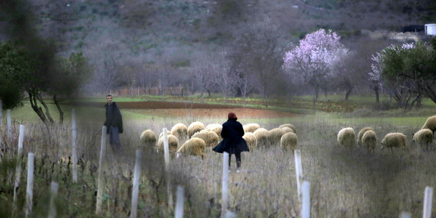 Mediji i uzvanici posjetili Polaču, Vransko jezero i Maškovića han